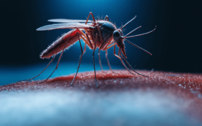 West Nile Fever Seminar 2024: Insights from SPRI’s Latest Conference