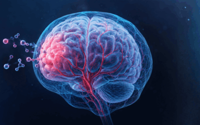 Sheba Scientists Develop Breakthrough Method for Non-Invasive Brain Drug Delivery